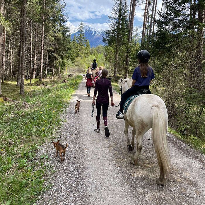 Ausritte und Beteiligungen in Längenfeld in Ötztal