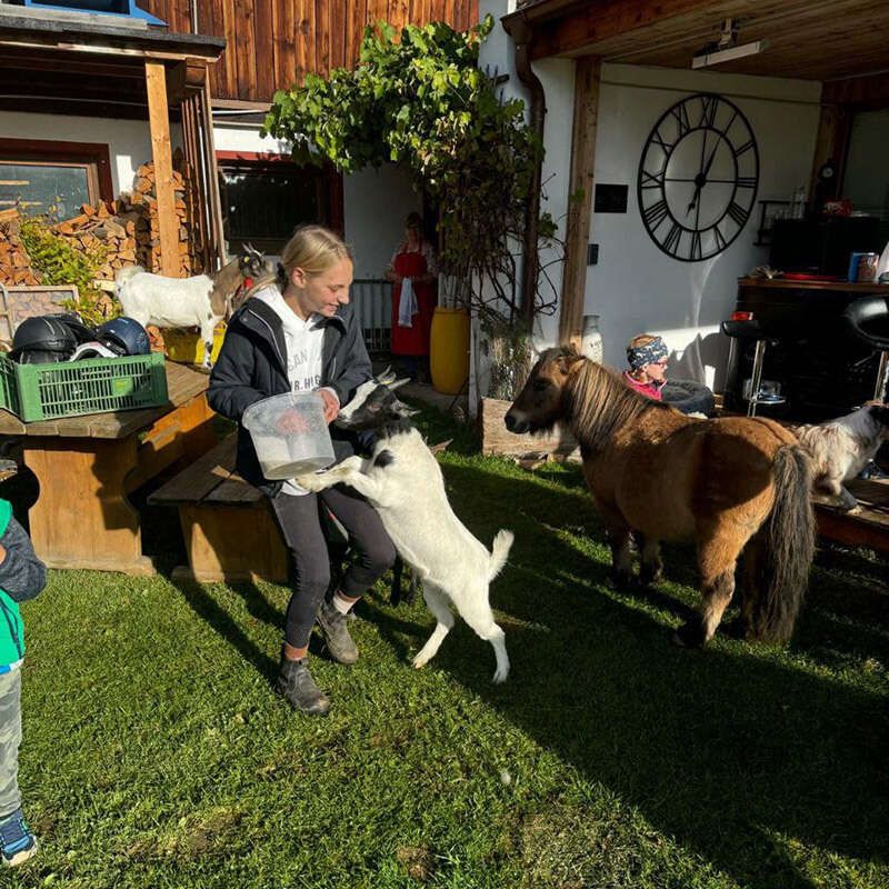 Kinderbetreuung am Bauernhof Sonnhof in Längenfeld