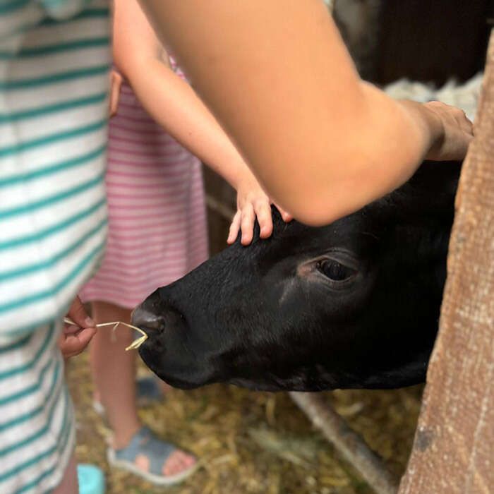 Urlaub am Bauernhof Am Sonnhof mit Kinderbetreuung in Längenfeld im Ötztal