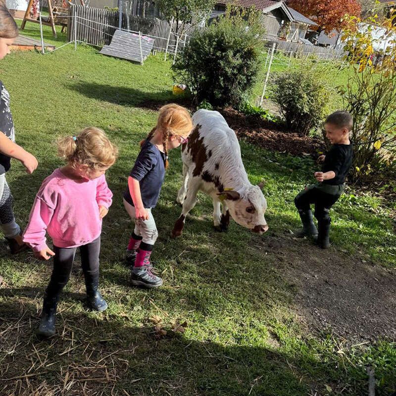 Betreuung der Kinder im Ötztal