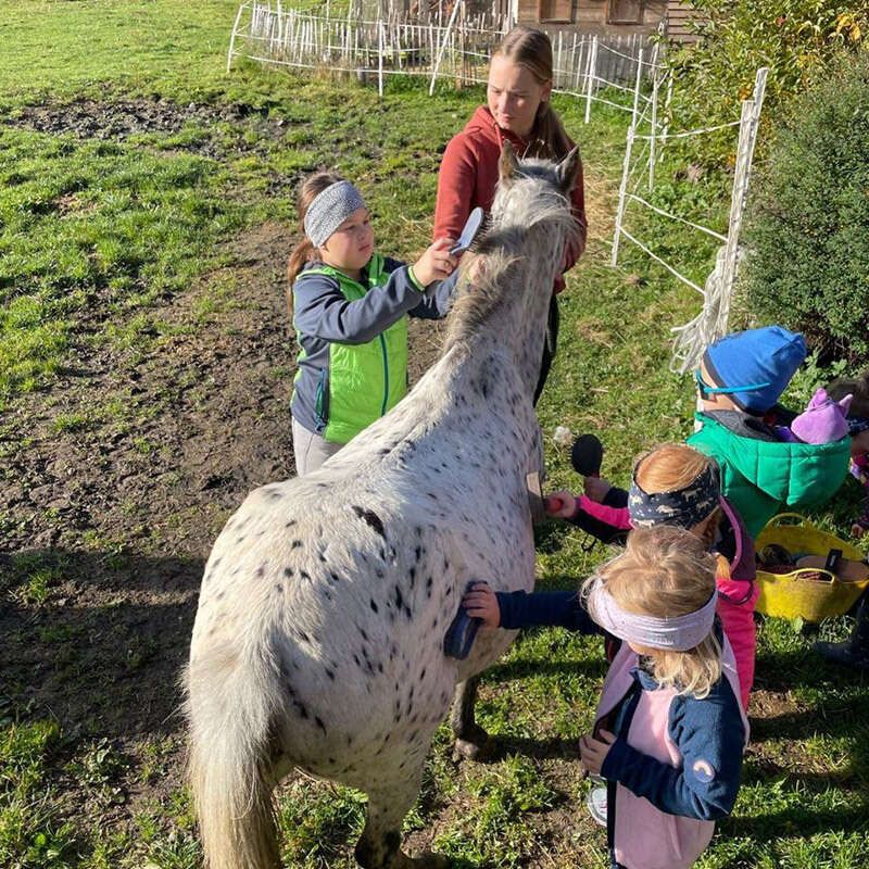 Kinderbetreuung beim Reitstall Pegasus in Längenfeld im Ötztal