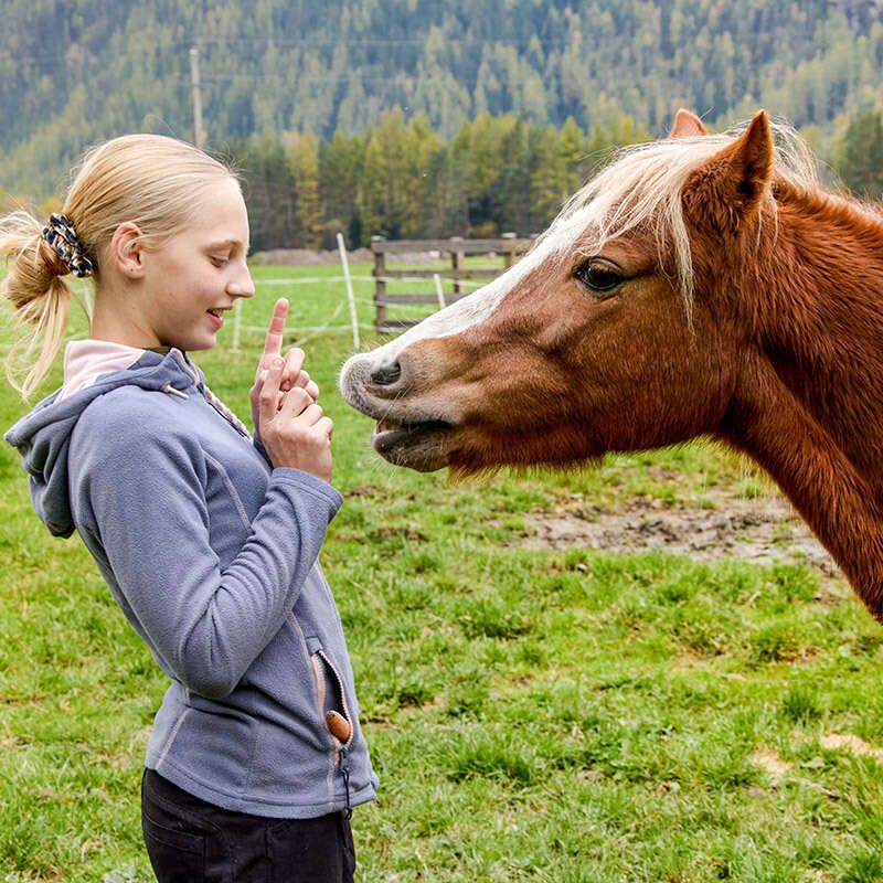 Pädagogisches Reiten bei Reitstall Pegasus in Längenfeld im Ötztal