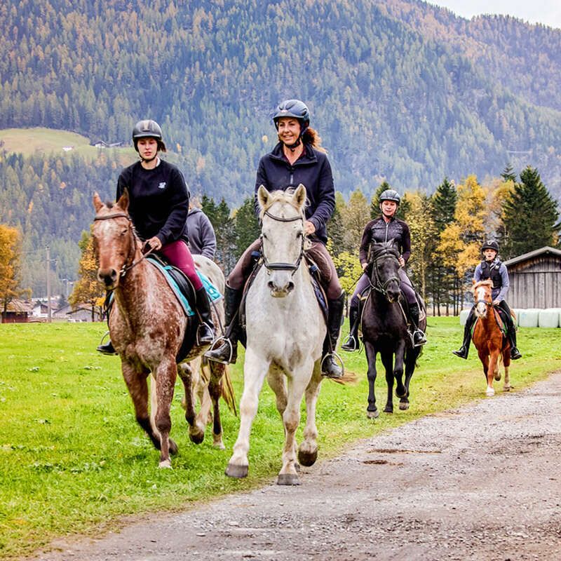 Ausritte und Beteiligung beim Reitstall Pegasus in Längenfeld im Ötztal