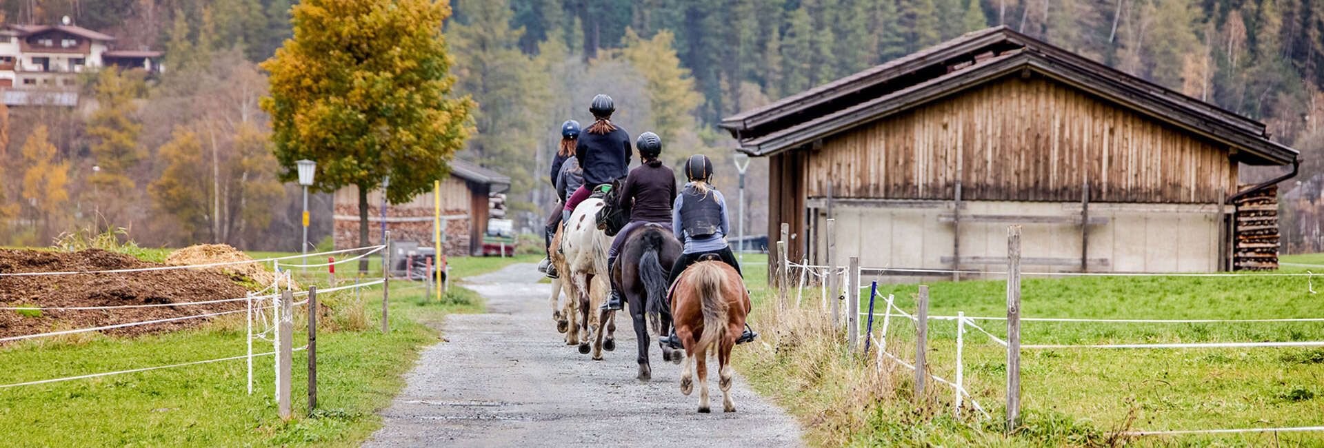 Ausritte im Ötztal mit Reitstall Pegasus