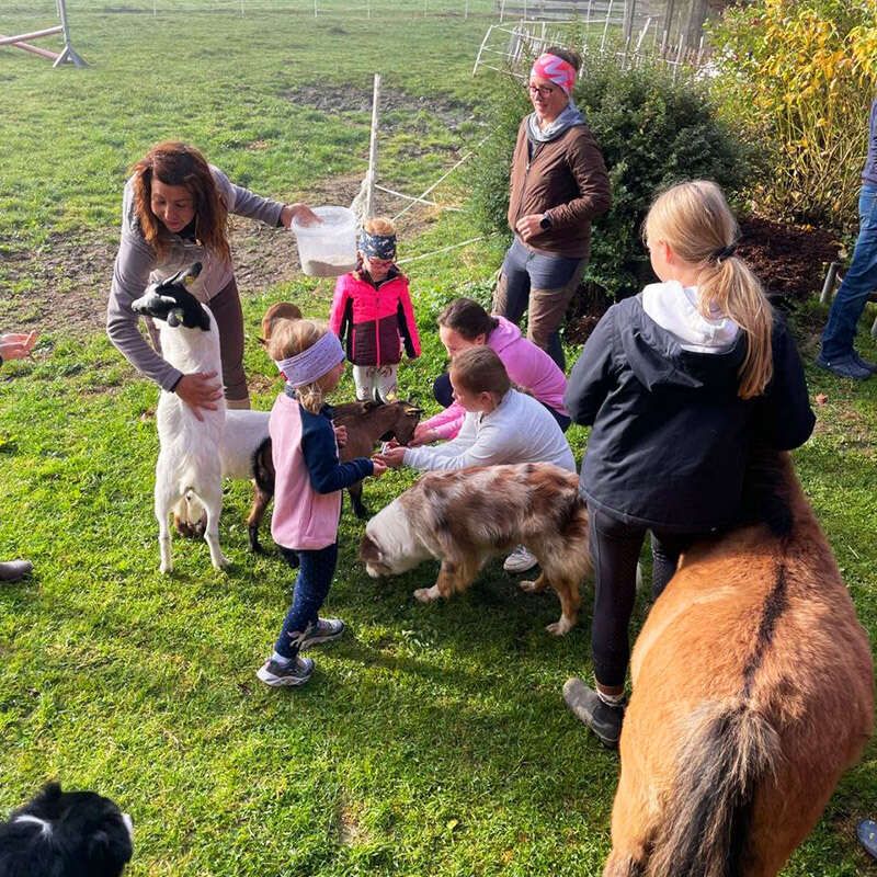 Kinderbetreuung am Reitstall Pegasus im Ötztal