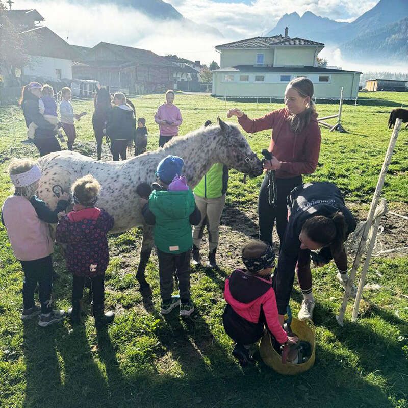 Betreuung der Kinder während Ihres Urlaub am Bauernhof Sonnhof